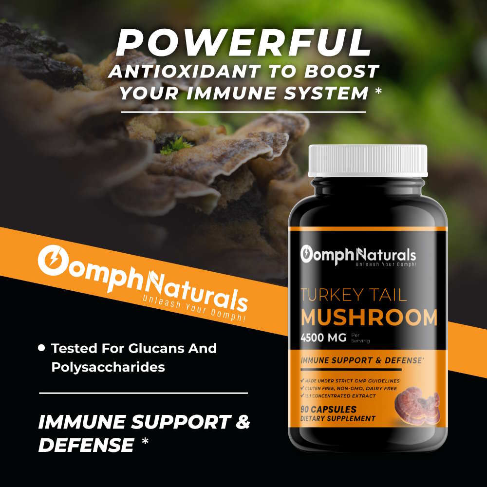 Turkey Tail Mushroom Capsules