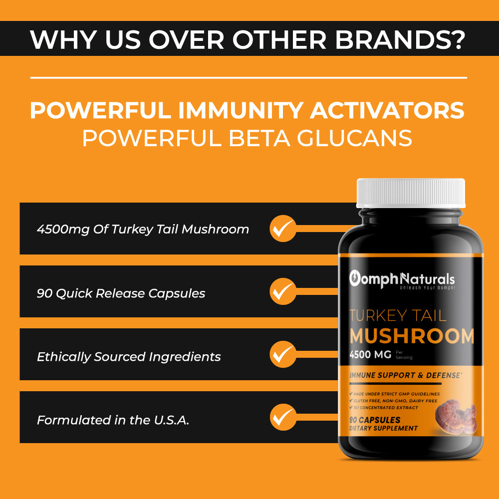 Turkey Tail Mushroom Capsules