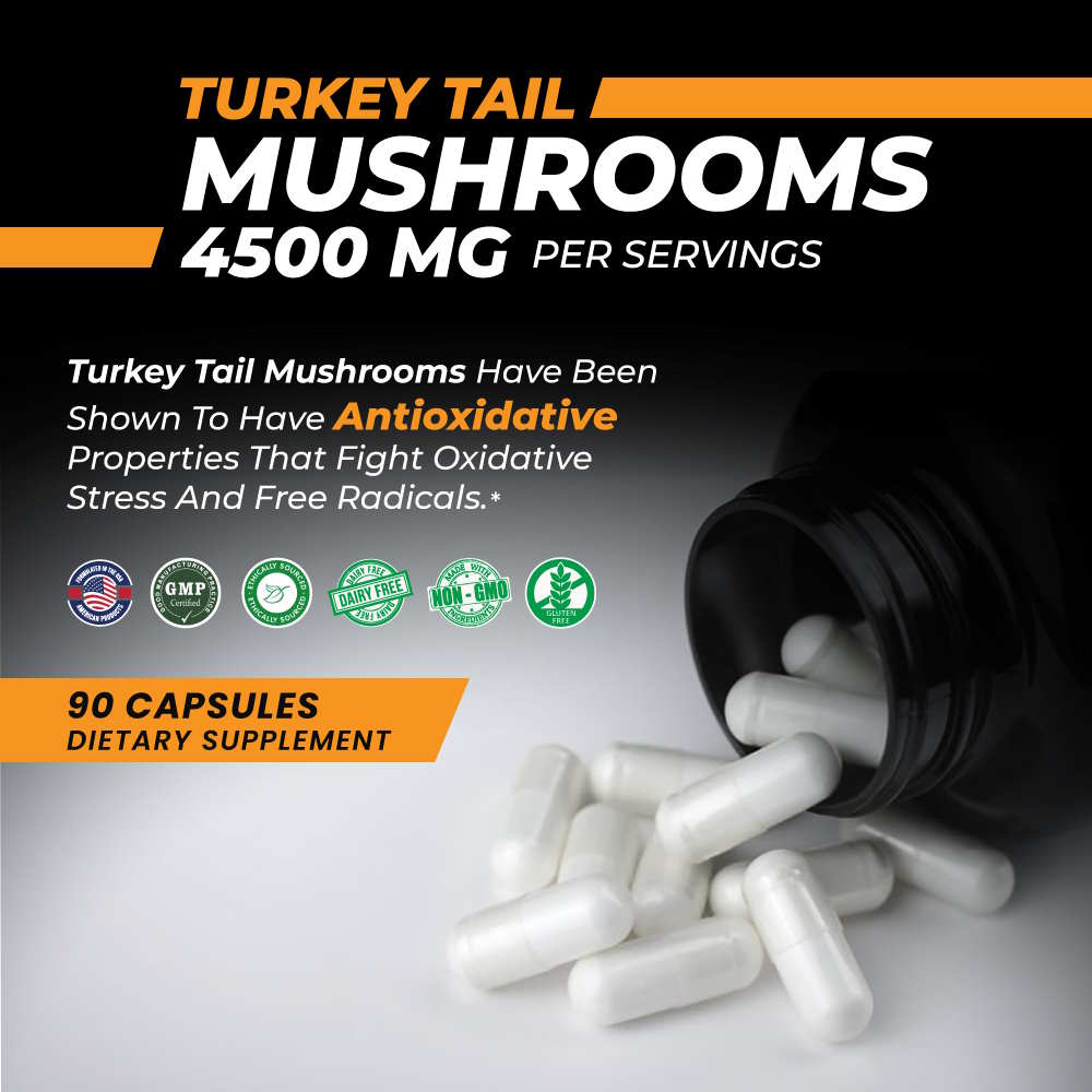 Turkey Tail Mushroom Capsules