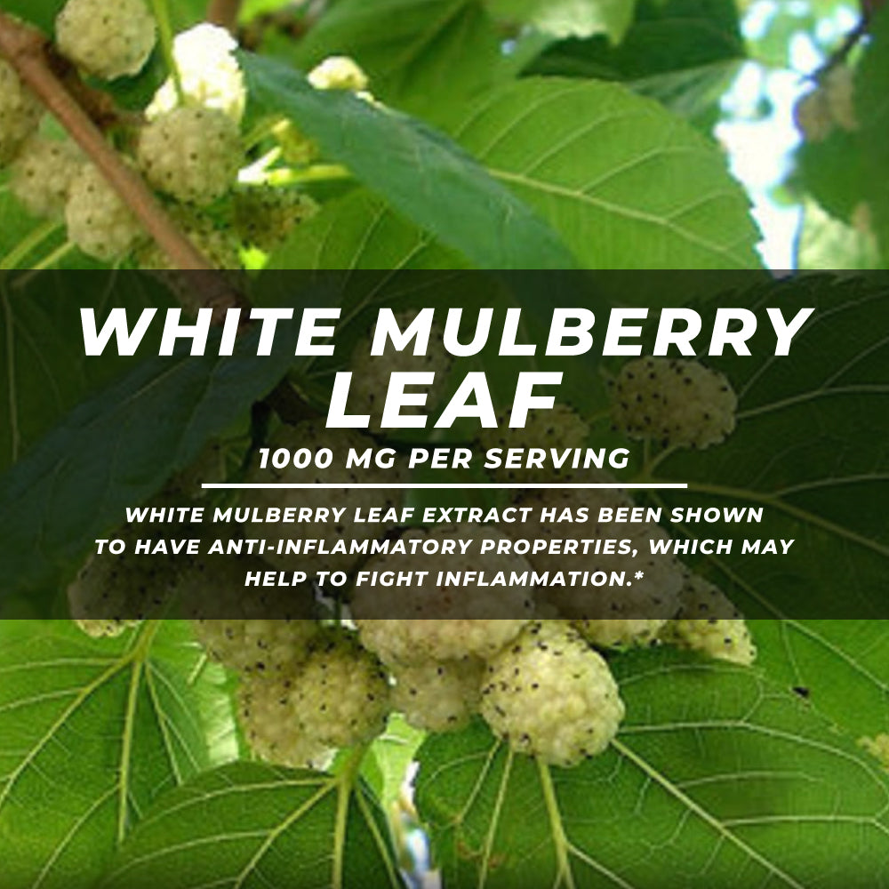 White Mulberry Leaf Capsules