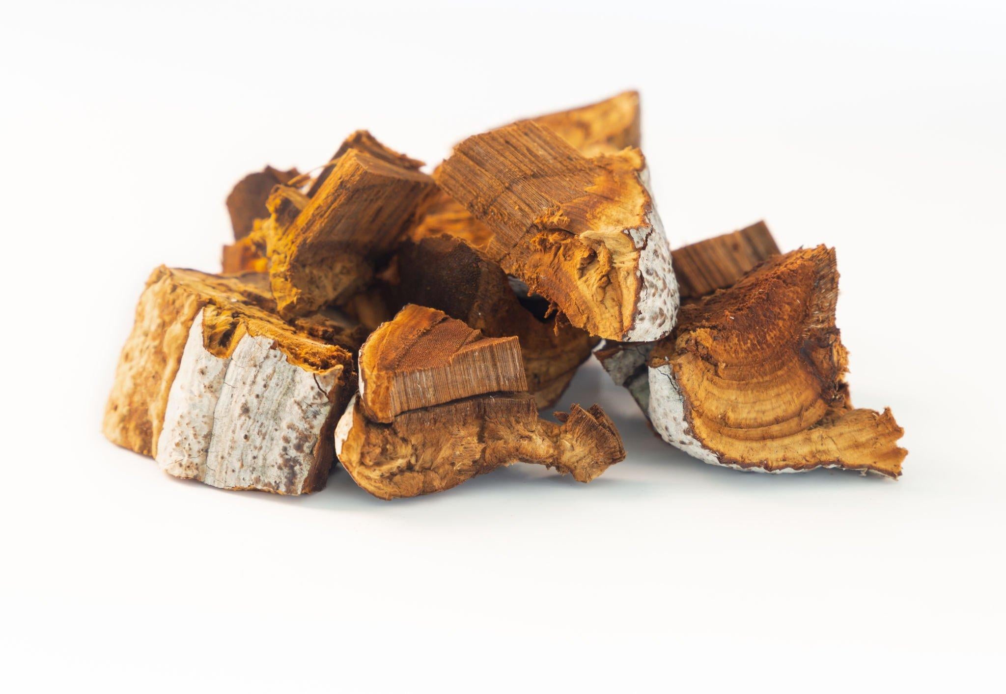 Unveiling the Health Benefits of Birch Chaga: A Natural Marvel for Opt ...